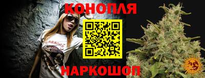 индика Абакан