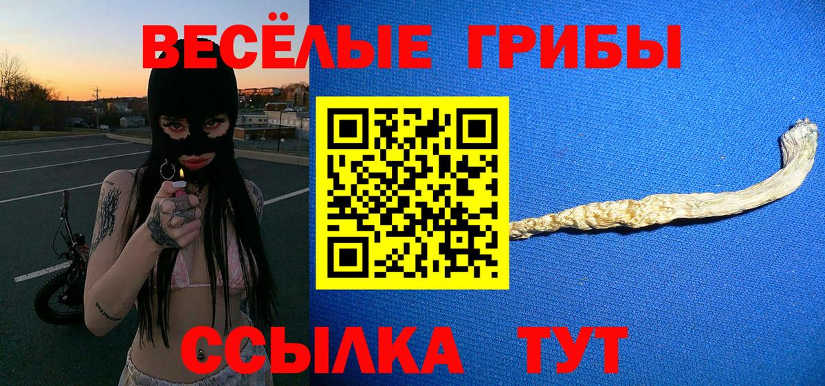 Галлюциногенные грибы Psilocybe Минеральные Воды