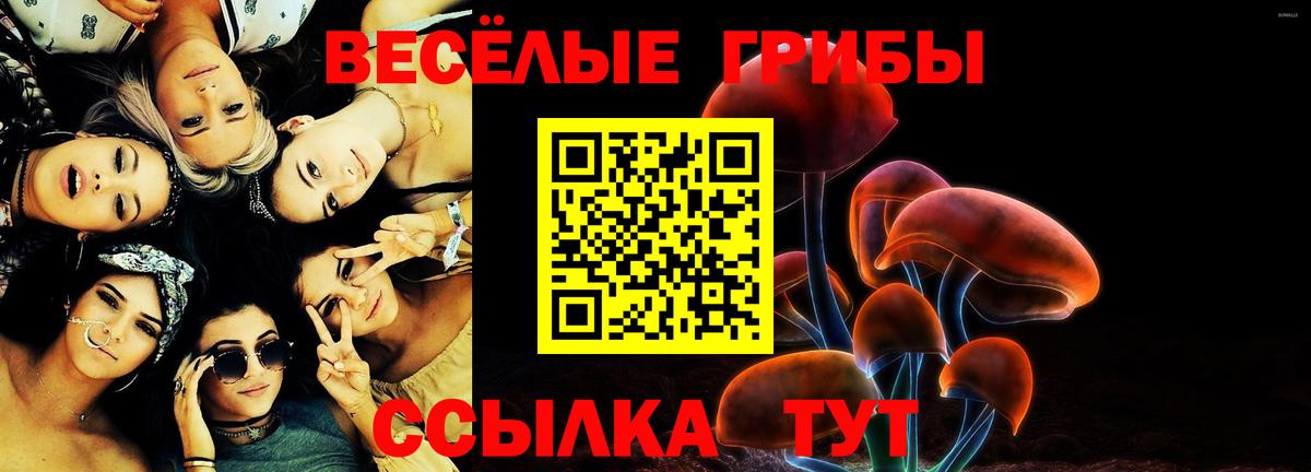 Галлюциногенные грибы Cubensis  Псилоцибиновые грибы Psilocybine cubensis  что такое   Минеральные Воды  Вход с VPN 